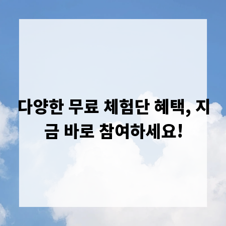 다양한 무료 체험단 혜택, 지금 바로 참여하세요!