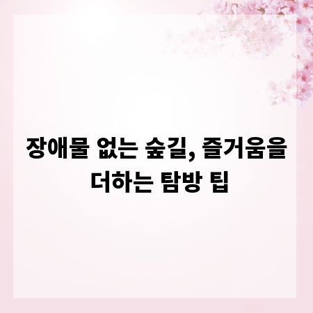 장애물 없는 숲길, 즐거움을 더하는 탐방 팁