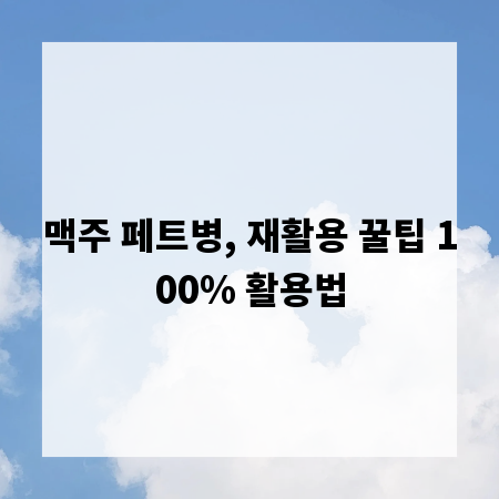 맥주 페트병, 재활용 꿀팁 100% 활용법