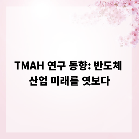 TMAH 연구 동향: 반도체 산업 미래를 엿보다
