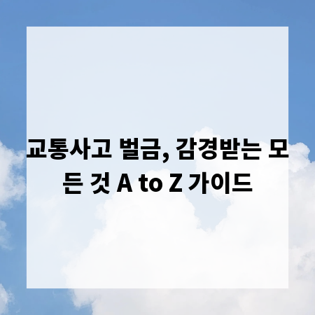 교통사고 벌금, 감경받는 모든 것 A to Z 가이드