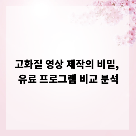 고화질 영상 제작의 비밀, 유료 프로그램 비교 분석