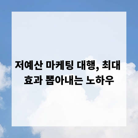 저예산 마케팅 대행, 최대 효과 뽑아내는 노하우